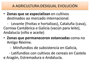 A AGRICULTURA:DESIGUAL EVOLUCIÓN
• Zonas que se especializan en cultivos
destinados ao mercado internacional.
- Levante (froitas e hortalizas), Cataluña (cava),
Cornixa Cantábrica e Galicia (vacún para leite),
Andalucía (viño e aceite)
• Zonas que permaneceron estancadas coma no
Antigo Réxime.
- Minifundios de subsistencia en Galicia,
- Latifundios con cultivos de cereais en Castela
e Aragón, Estremadura e Andalucía.
 