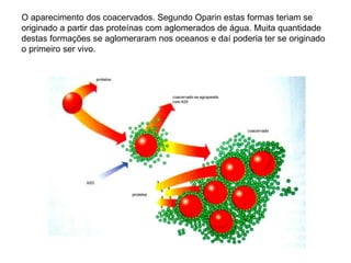 O aparecimento dos coacervados. Segundo Oparin estas formas teriam se
originado a partir das proteínas com aglomerados de água. Muita quantidade
destas formações se aglomeraram nos oceanos e daí poderia ter se originado
o primeiro ser vivo.
 