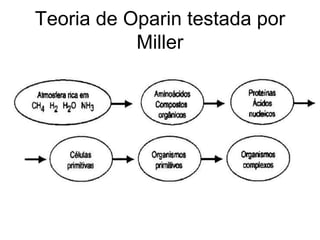 Teoria de Oparin testada por
Miller
 