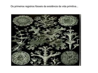 Os primeiros registros fósseis da existência da vida primitiva...
 