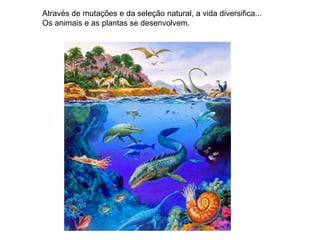 Através de mutações e da seleção natural, a vida diversifica...
Os animais e as plantas se desenvolvem.
 