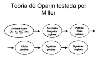 Teoria de Oparin testada por
Miller
 
