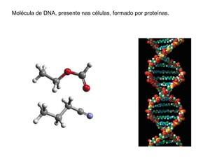 Molécula de DNA, presente nas células, formado por proteínas.
 