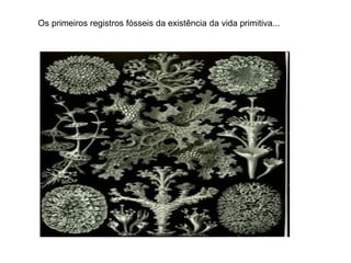Os primeiros registros fósseis da existência da vida primitiva...
 
