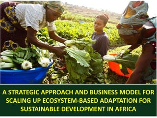 A STRATEGIC APPROACH AND BUSINESS MODEL FOR
SCALING UP ECOSYSTEM-BASED ADAPTATION FOR
SUSTAINABLE DEVELOPMENT IN AFRICA
 