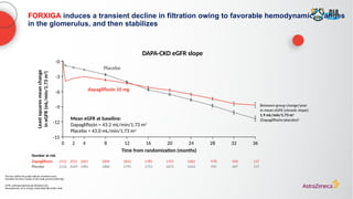 FORXIGA induces a transient decline in filtration owing to favorable hemodynamic changes
in the glomerulus, and then stabilizes
The bars within the graph indicate standard errors
a
Excludes the first 2 weeks of the study period (eGFR dip)
eGFR, estimated glomerular filtration rate
Heerspink HJL, et al. N Engl J Med 2020;383:1436–1446
Between-group change/year
in mean eGFR (chronic slope):
1.9 mL/min/1.73 m2
(Dapagliflozin/placebo)a
Dapagliflozin 2152 2031 2001 1896 1832 1785 1705 1482 978 496 157
Placebo 2152 2029 1981 1866 1795 1753 1672 1443 935 447 157
Number at risk
Mean eGFR at baseline:
Dapagliflozin = 43.2 mL/min/1.73 m2
Placebo = 43.0 mL/min/1.73 m2
Placebo
dapagliflozin 10 mg
0 4
2 28 36
8 12 16 20 24 32
-0
-3
-6
-9
-12
-15
Time from randomization (months)
Least
squares
mean
change
in
eGFR
(mL/min/1.73
m
2
)
DAPA-CKD eGFR slope
 