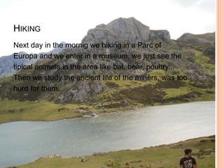 HIKING
Next day in the mornig we hiking in a Parc of
Europa and we enter in a museum, we just see the
tipical animals in the area like bat, bear, poultry...
Then we study the ancient life of the miners, was too
hurd for them.
 