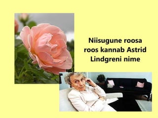 Niisugune roosa roos kannab Astrid Lindgreni nime 