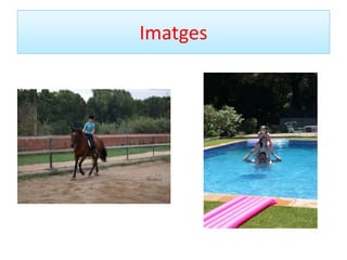 Imatges 
 