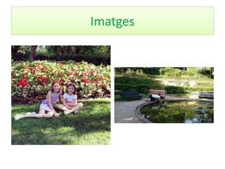 Imatges 
 