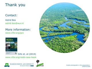 Performance assessment of 23 REDD+ initiatives: A tree cover change perspective