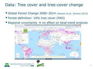 Performance assessment of 23 REDD+ initiatives: A tree cover change perspective