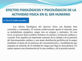 EFECTOS FISIOLÓGICOS Y PSICOLÓGICOS DE LA
ACTIVIDAD FISICA EN EL SER HUMANO
Los efectos fisiológicos del ejercicio físico son bastante bien
conocidos y constatados. El sistema cardiovascular aporta al músculo, para
su metabolismo energético, sangre rica en oxígeno y nutrientes. En este
nivel, el ejercicio físico aeróbico fortalece el corazón y la función cardíaca y
vascular. Esto significa un importante aumento de la calidad y de la potencia
del funcionamiento cardiaco y una mejor distribución periférica de la sangre
(mediante el ajuste de los procesos de vasoconstricción y vasodilatación que
aseguran un aumento de la cantidad de sangre que llega la musculatura). En
reposo aparece una disminución de la tasa cardíaca y de la presión arterial.
A Nivel Cardiovascular:
 