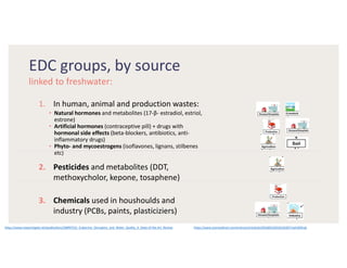 EDC groups, by source
linked to freshwater:
1. In human, animal and production wastes:
• Natural hormones and metabolites (17-β- estradiol, estriol,
estrone)
• Artificial hormones (contraceptive pill) + drugs with
hormonal side effects (beta-blockers, antibiotics, anti-
inflammatory drugs)
• Phyto- and mycoestrogens (isoflavones, lignans, stilbenes
etc)
2. Pesticides and metabolites (DDT,
methoxycholor, kepone, tosaphene)
3. Chemicals used in houshoulds and
industry (PCBs, paints, plasticiziers)
https://www.researchgate.net/publication/248997531_Endocrine_Disruptors_and_Water_Quality_A_State-of-the-Art_Review https://www.sciencedirect.com/science/article/pii/S0160412016310182?via%3Dihub
 