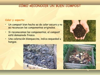 Color y aspecto:
• Un compost bien hecho es de color oscuro y no
se reconocen los componentes originales.
• Si reconocemos los componentes, el compost
está demasiado fresco.
• Una coloración blanquecina, indica sequedad u
hongos.
CÓMO RECONOCER UN BUEN COMPOST
 