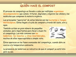 QUIÉN HACE EL COMPOST
El proceso de compostaje es llevado a cabo por múltiples organismos
descomponedores que comen, trituran, degradan y digieren las células y las
moléculas que componen la materia orgánica.
Los principales "operarios" de estas labores son las bacterias y hongos
microscópicos. Estos llegan a la pila de compost a través del suelo, aire y
agua.
También actúan un gran número de pequeños
animales, pero importantes para llevar a buen fin
el compostaje. Los más comunes son las
lombrices, los insectos y otros invertebrados,
muchos de ellos imperceptibles a simple vista.
Éstos aparecen en las fases avanzadas del compostaje, cuando éste se
acerca a la temperatura ambiente.
La presencia de lombrices es indicativo de que el compost ya está listo
para su uso.
 