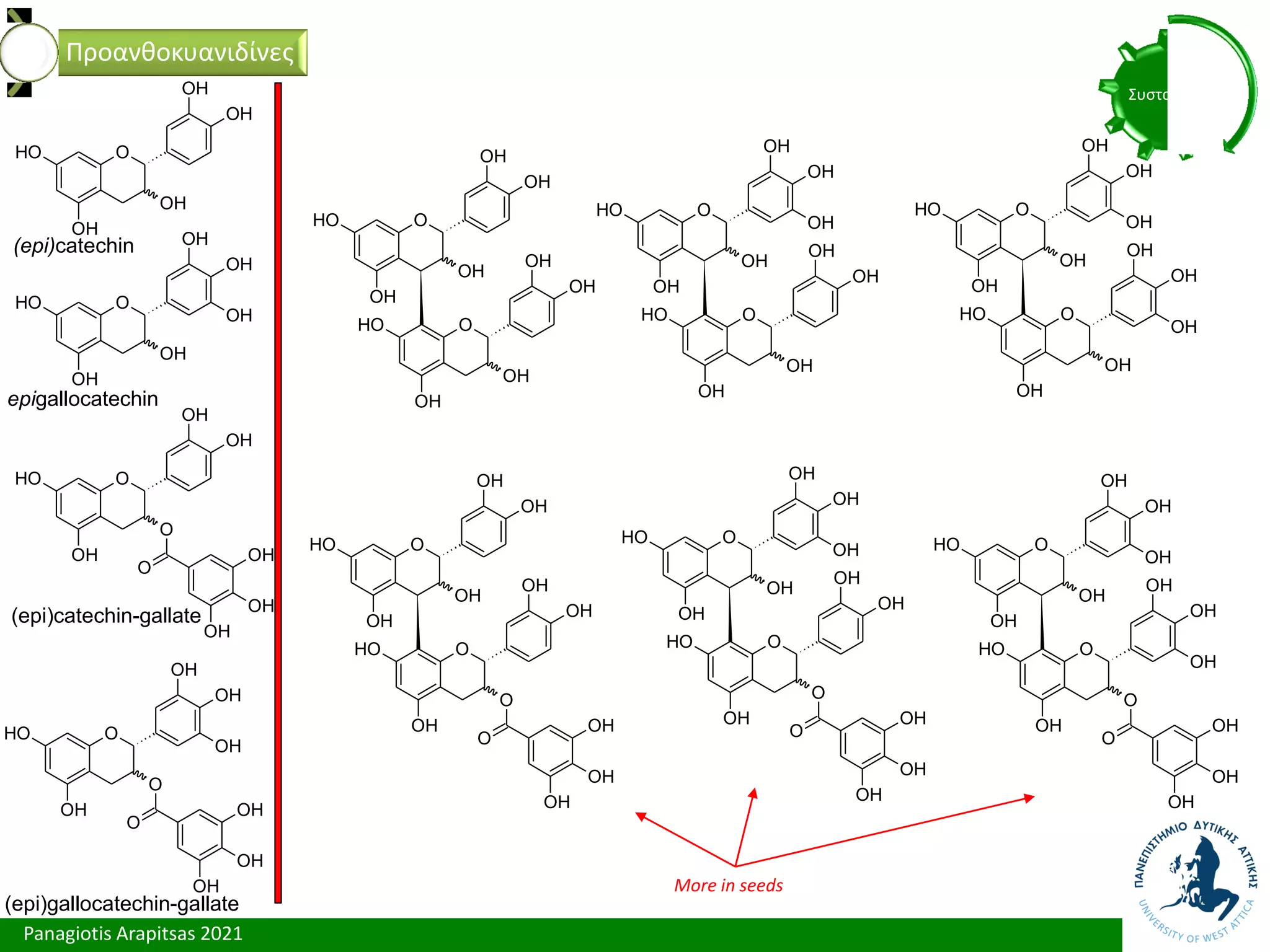 Panagiotis Arapitsas 2021
Συστατικά
Προανθοκυανιδίνες
(epi)catechin
epigallocatechin
O
O
H
OH
O
OH
O
OH
OH
OH
OH
O
O
H
OH
O
OH
O
OH
OH
OH
OH
OH
(epi)catechin-gallate
(epi)gallocatechin-gallate
O
O
H
OH
OH
OH
OH
OH
O
O
H
OH
OH
OH
OH
O
O
H
OH
OH
OH
OH
O
O
H
OH
OH
OH
OH
O
O
H
OH
OH
OH
OH
O
O
H
OH
OH
OH
OH
OH
O
O
H
OH
OH
OH
OH
O
O
H
OH
OH
OH
OH
OH
OH
O
O
H
OH
OH
OH
OH
O
O
H
OH
O
OH
OH
OH
OH
O
OH
OH
OH
O
O
H
OH
OH
OH
OH
O
O
H
OH
O
OH
OH
O
OH
OH
OH
O
O
H
OH
OH
OH
OH
O
O
H
OH
O
OH
OH
OH
O
OH
OH
OH
More in seeds
 