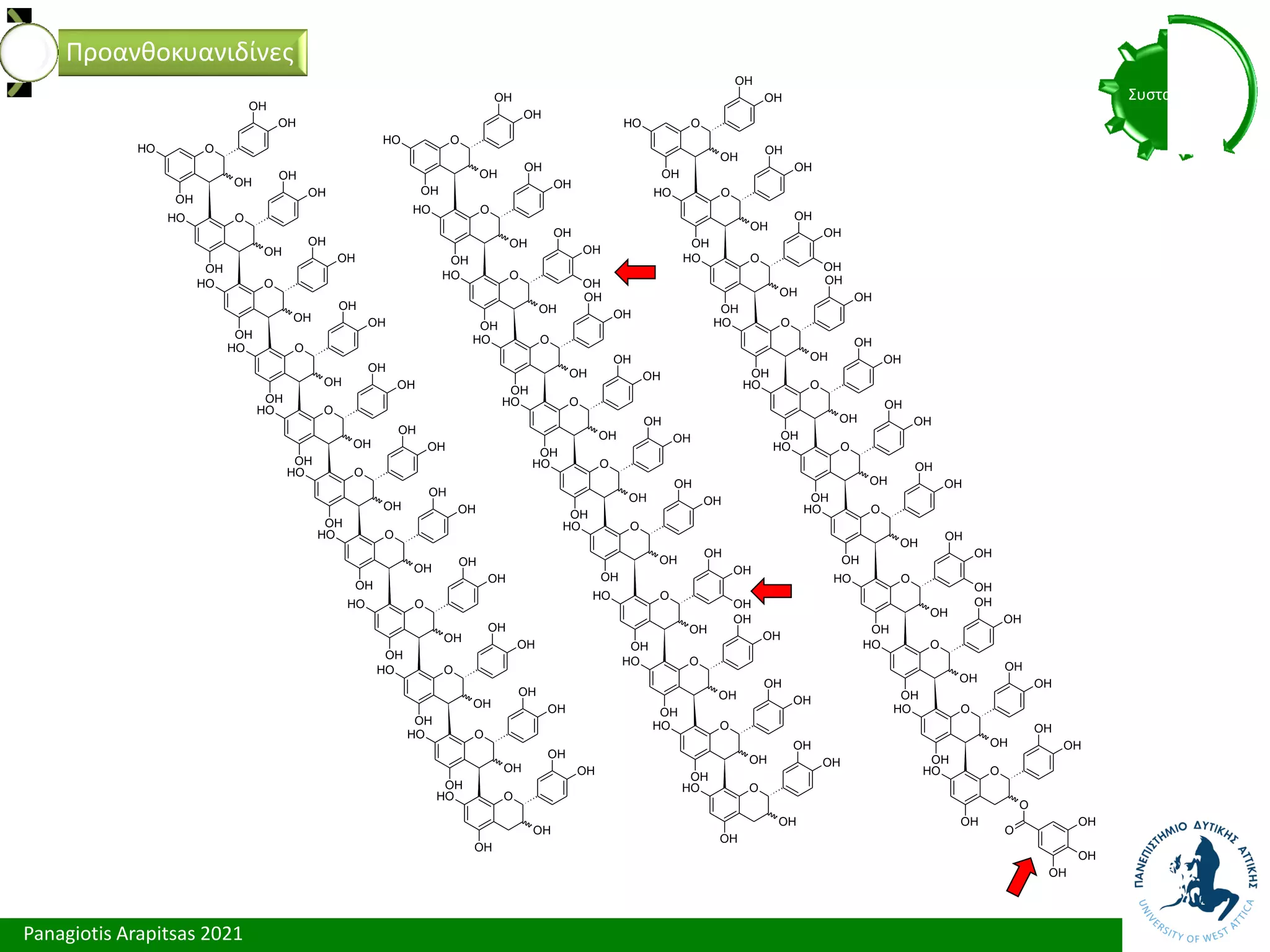 Panagiotis Arapitsas 2021
Συστατικά
Προανθοκυανιδίνες
O
O
H
OH
OH
OH
OH
O
O
H
OH
OH
OH
OH
O
O
H
OH
OH
OH
OH
O
O
H
OH
OH
OH
OH
O
O
H
OH
OH
OH
OH
O
O
H
OH
OH
OH
OH
O
O
H
OH
OH
OH
OH
O
O
H
OH
OH
OH
OH
O
O
H
OH
OH
OH
OH
O
O
H
OH
OH
OH
OH
O
O
H
OH
OH
OH
OH
O
O
H
OH
OH
OH
OH
O
O
H
OH
OH
OH
OH
O
O
H
OH
OH
OH
OH
O
O
H
OH
OH
OH
OH
O
O
H
OH
OH
OH
OH
O
O
H
OH
OH
OH
OH
O
O
H
OH
OH
OH
OH
O
O
H
OH
OH
OH
OH
O
O
H
OH
OH
OH
OH
O
O
H
OH
OH
OH
OH
O
O
H
OH
OH
OH
OH
OH
OH
O
O
H
OH
OH
OH
OH
O
O
H
OH
OH
OH
OH
O
O
H
OH
OH
OH
OH
O
O
H
OH
OH
OH
OH
O
O
H
OH
OH
OH
OH
O
O
H
OH
OH
OH
OH
O
O
H
OH
OH
OH
OH
O
O
H
OH
OH
OH
OH
O
O
H
OH
OH
OH
OH
O
O
H
OH
OH
OH
OH
O
O
H
OH
O
OH
OH
OH
OH
O
OH
OH
OH
 