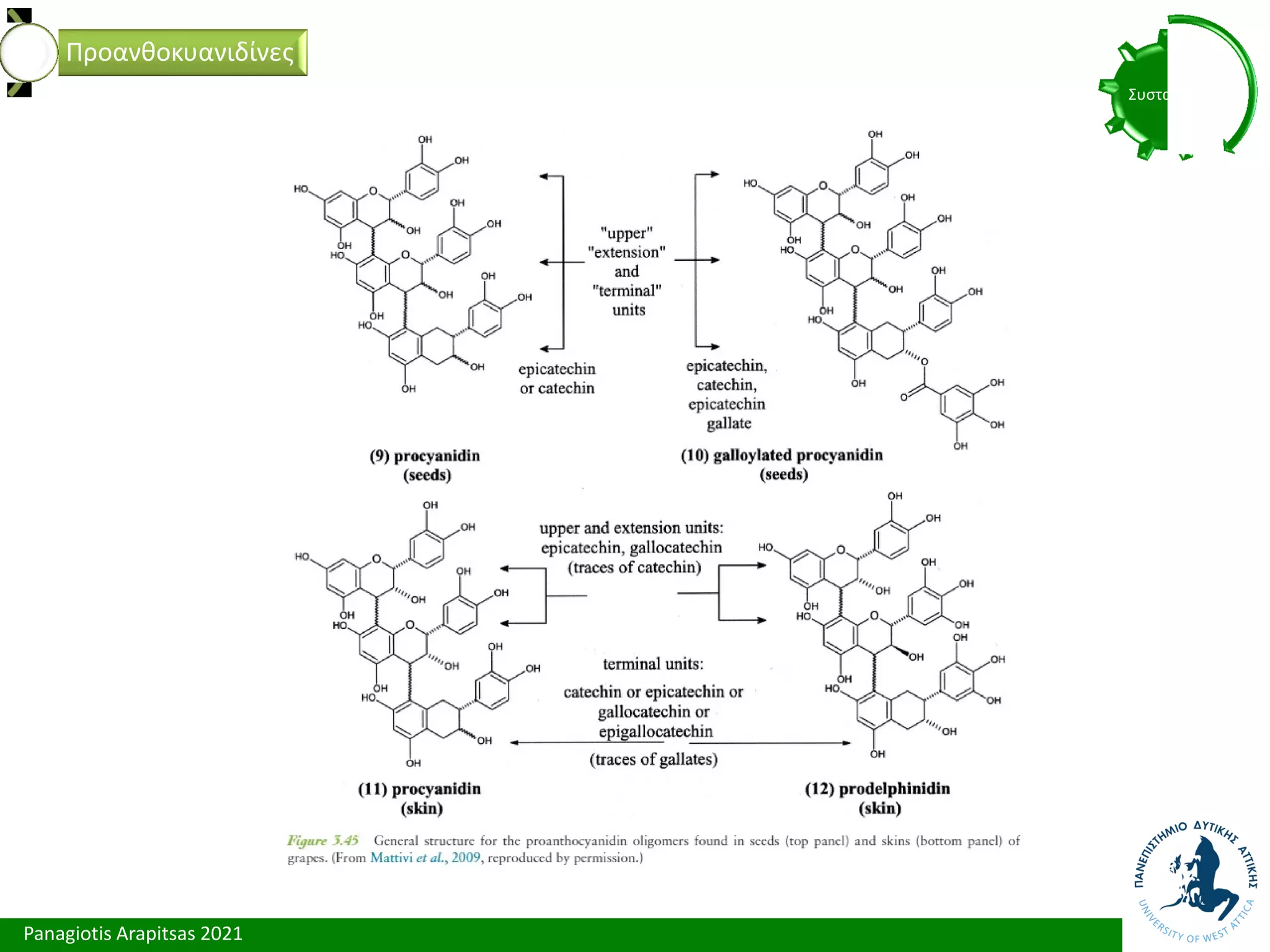Panagiotis Arapitsas 2021
Συστατικά
Προανθοκυανιδίνες
 