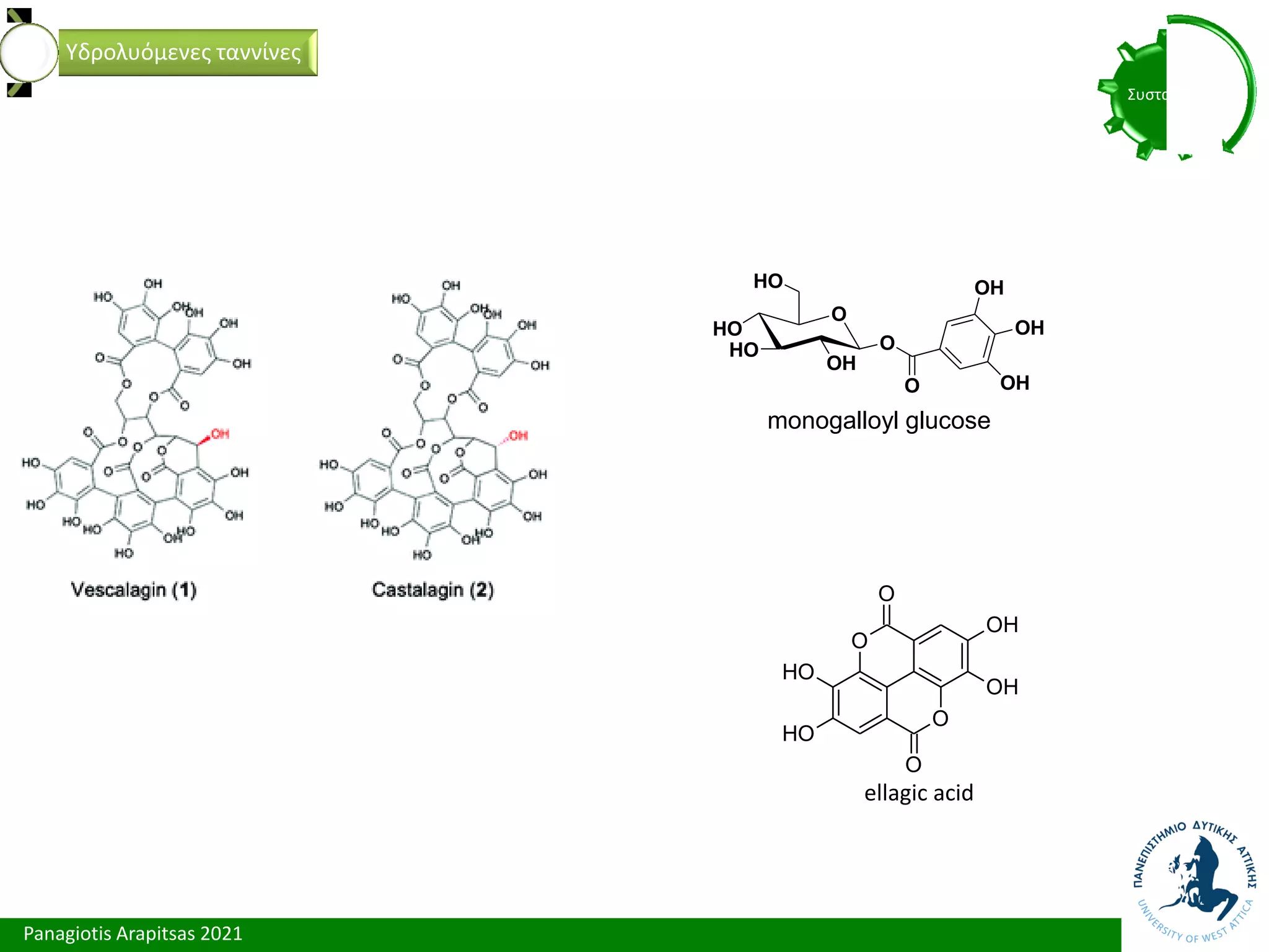 Panagiotis Arapitsas 2021
Συστατικά
Υδρολυόμενες ταννίνες
O
HO
HO
OH
O
HO
O
OH
OH
OH
monogalloyl glucose
O
O
O
O
O
H
O
H
OH
OH
ellagic acid
 