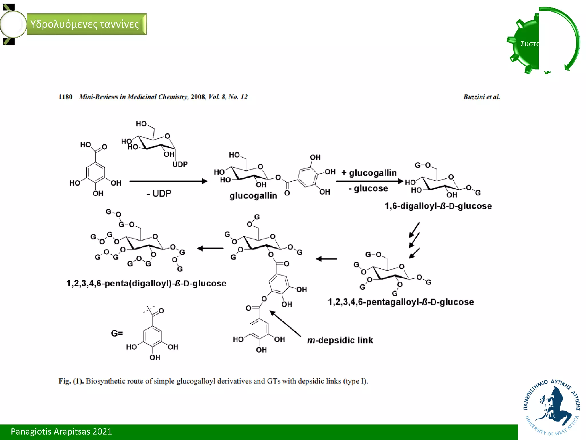 Panagiotis Arapitsas 2021
Συστατικά
Υδρολυόμενες ταννίνες
 