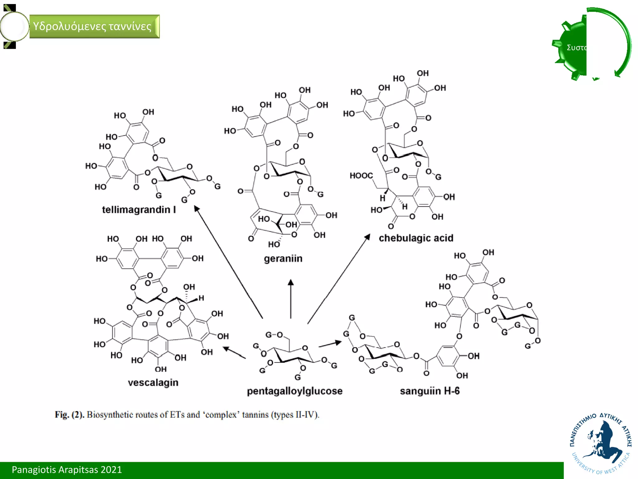 Panagiotis Arapitsas 2021
Συστατικά
Υδρολυόμενες ταννίνες
 