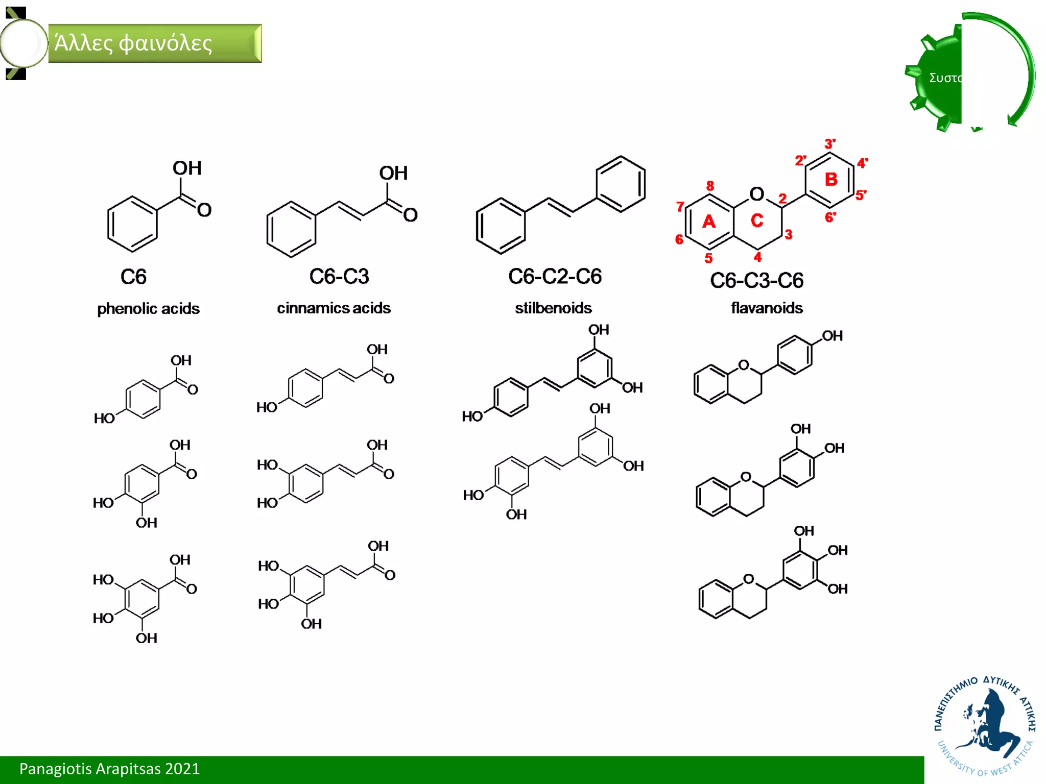 Panagiotis Arapitsas 2021
Συστατικά
Άλλες φαινόλες
 