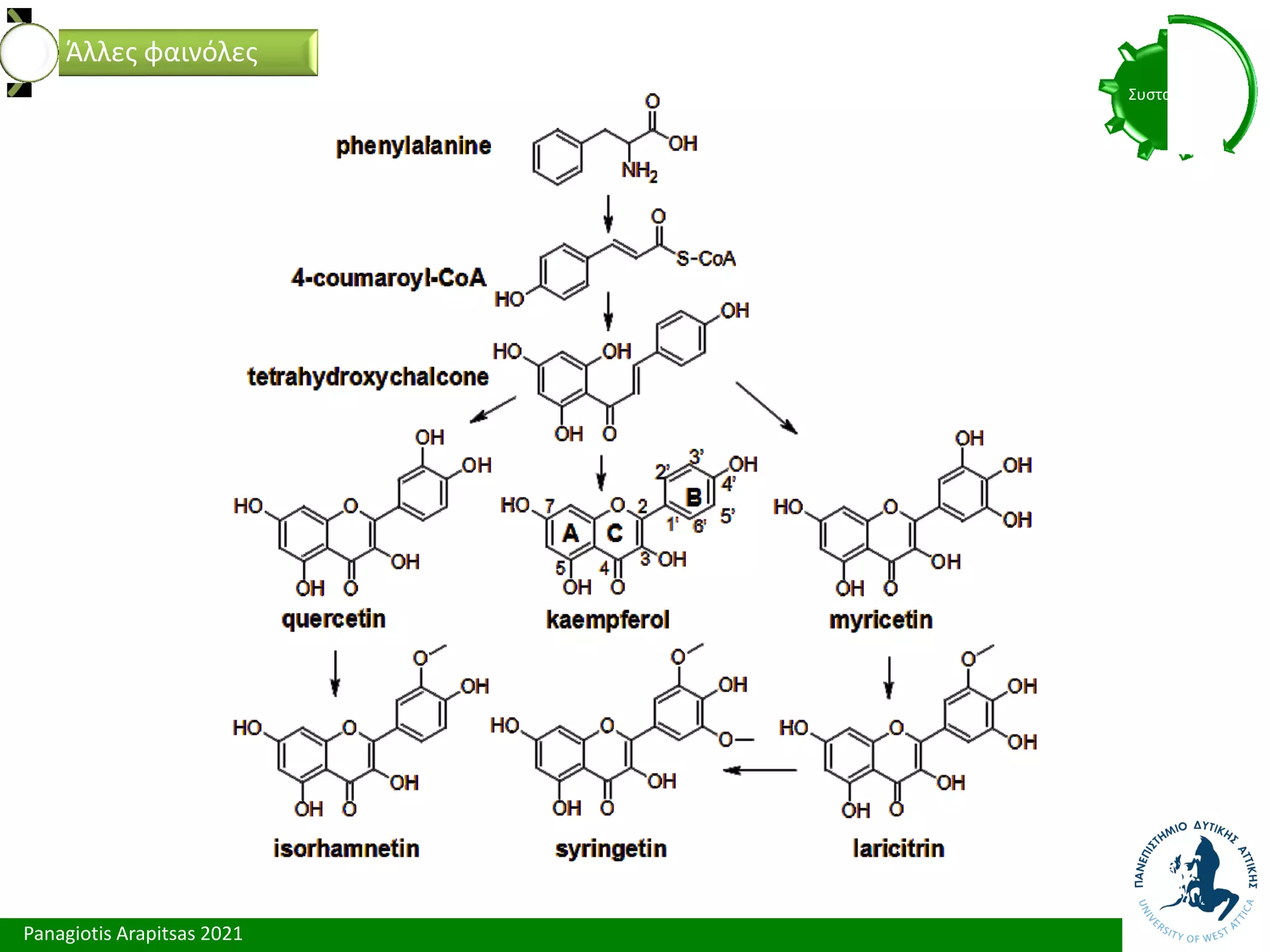 Panagiotis Arapitsas 2021
Συστατικά
Άλλες φαινόλες
 