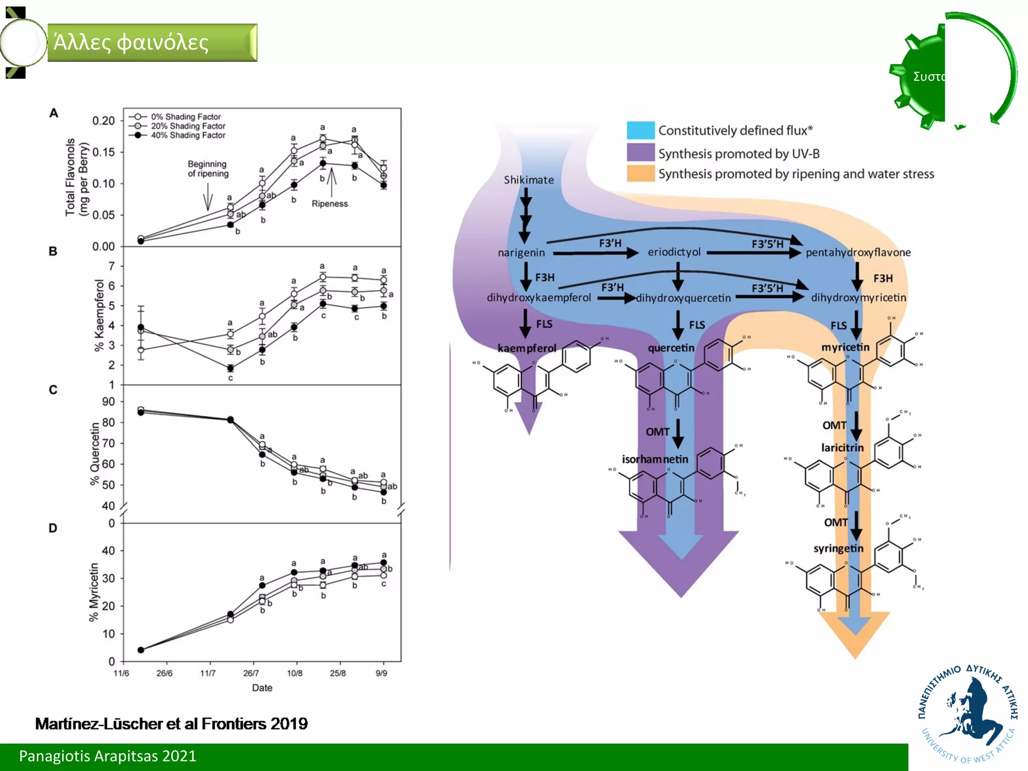 Panagiotis Arapitsas 2021
Συστατικά
Άλλες φαινόλες
 
