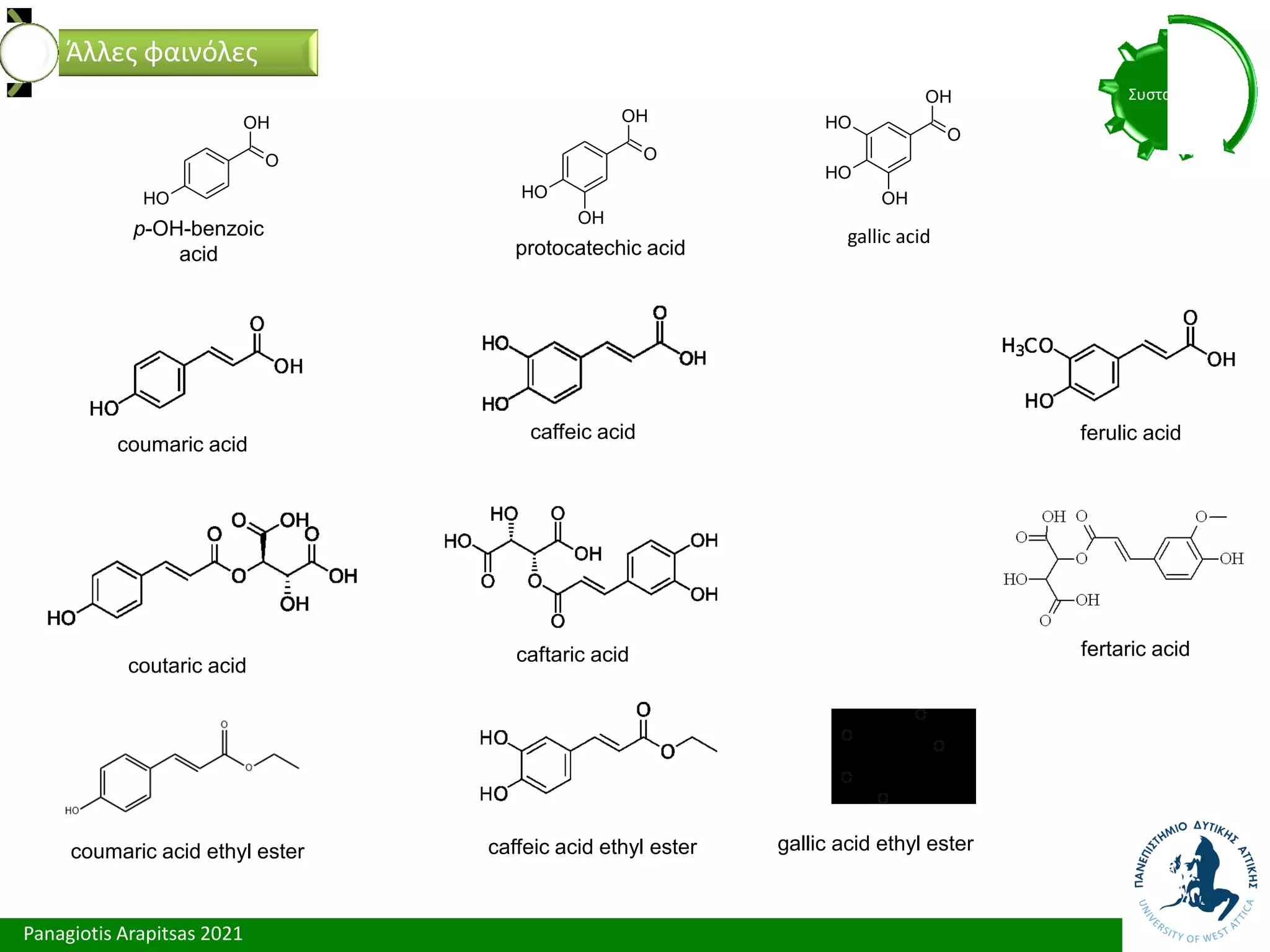 Panagiotis Arapitsas 2021
Συστατικά
Άλλες φαινόλες
O
OH
O
H
O
OH
O
H
OH
O
OH
O
H
OH
O
H
gallic acid
p-OH-benzoic
acid protocatechic acid
coumaric acid
coutaric acid
fertaric acid
caftaric acid
caffeic acid ferulic acid
coumaric acid ethyl ester caffeic acid ethyl ester gallic acid ethyl ester
 