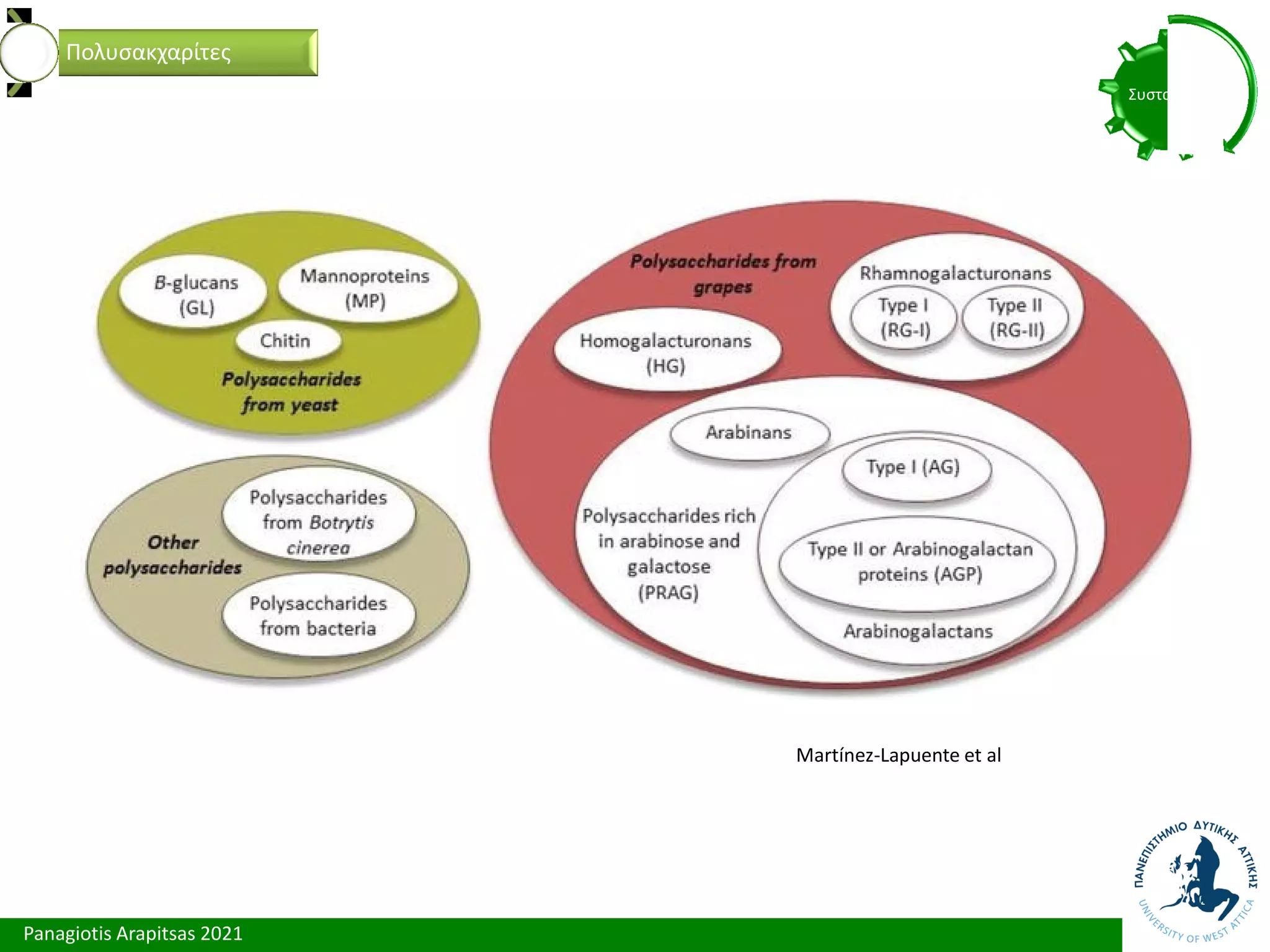 Panagiotis Arapitsas 2021
Συστατικά
Πολυσακχαρίτες
Martínez-Lapuente et al
 