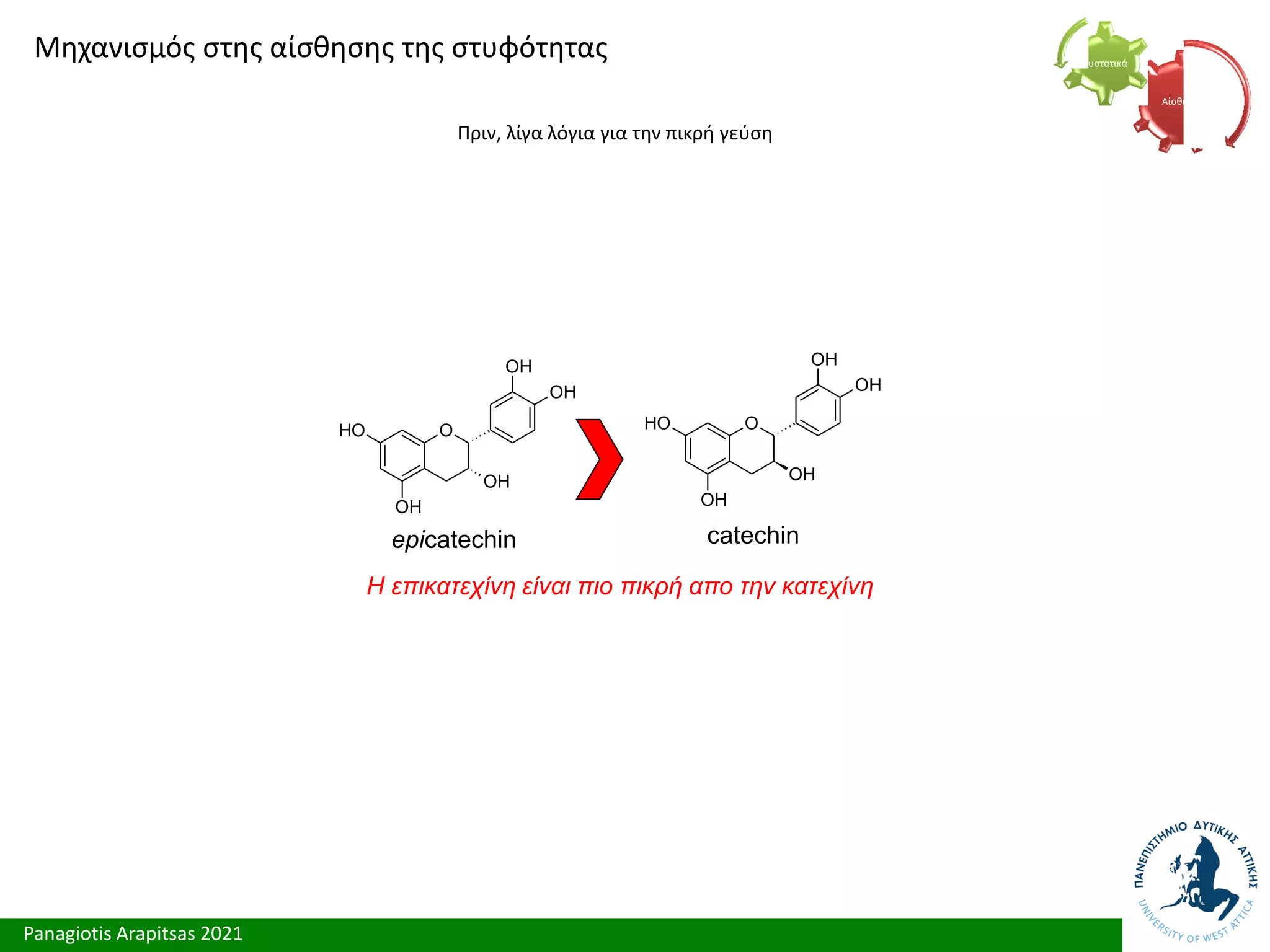 Panagiotis Arapitsas 2021
Μηχανισμός στης αίσθησης της στυφότητας
Πριν, λίγα λόγια για την πικρή γεύση
Αίσθηση
Συστατικά
O
O
H
OH
OH
OH
OH
O
O
H
OH
OH
OH
OH
epicatechin catechin
Η επικατεχίνη είναι πιο πικρή απο την κατεχίνη
 