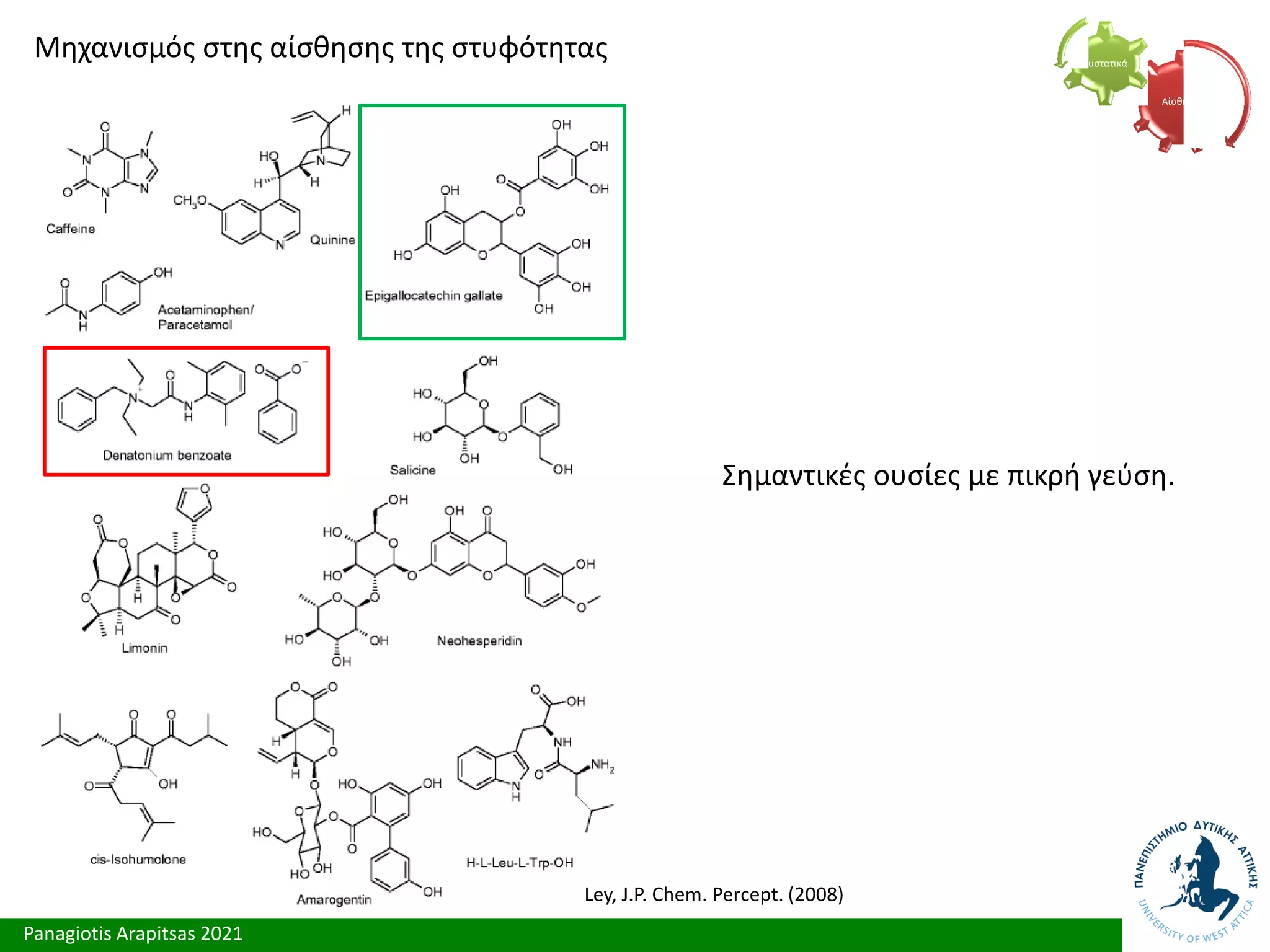 Panagiotis Arapitsas 2021
Μηχανισμός στης αίσθησης της στυφότητας
Αίσθηση
Συστατικά
Σημαντικές ουσίες με πικρή γεύση.
Ley, J.P. Chem. Percept. (2008)
 