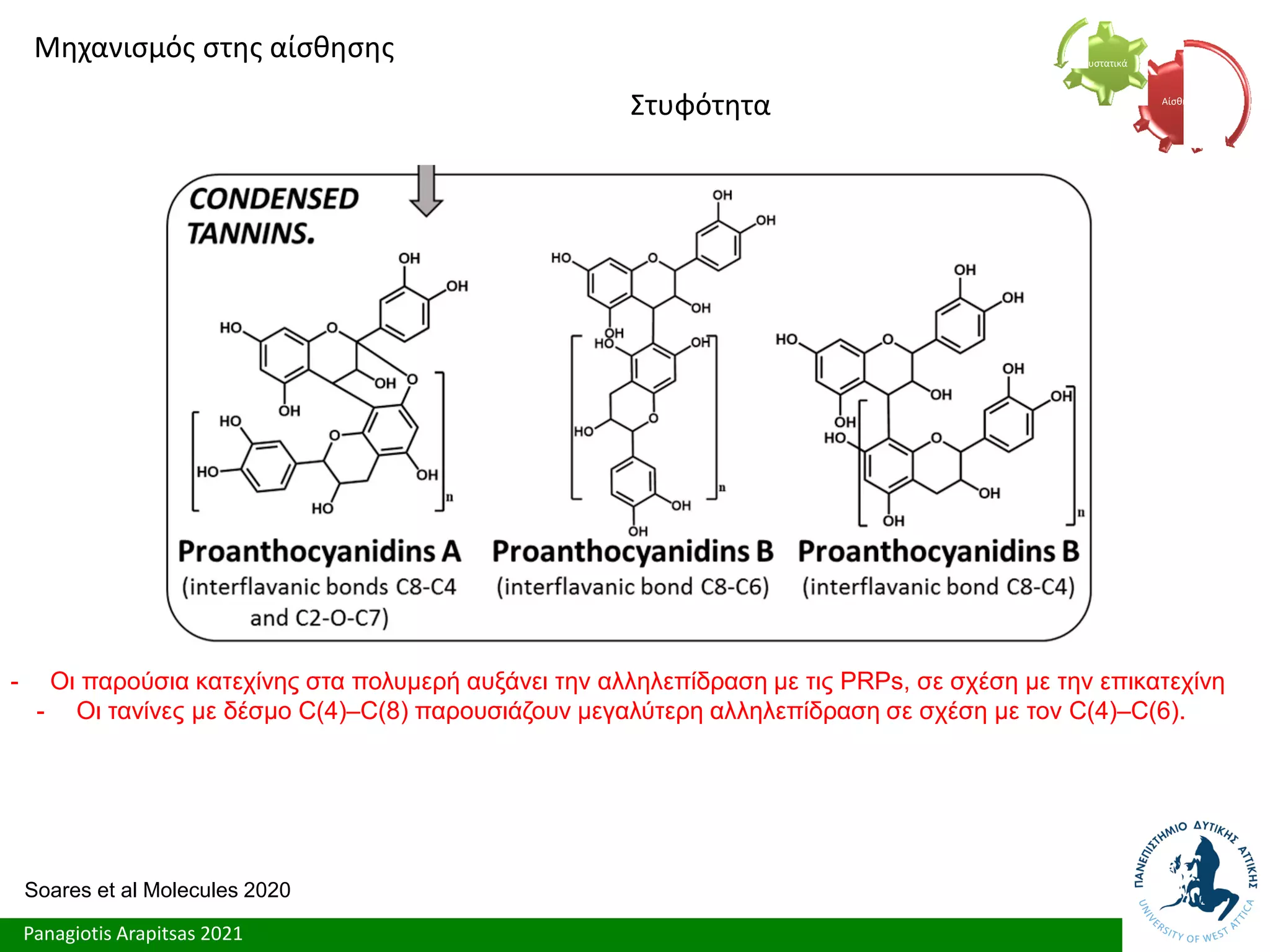 Panagiotis Arapitsas 2021
Μηχανισμός στης αίσθησης
Στυφότητα Αίσθηση
Συστατικά
Soares et al Molecules 2020
- Οι παρούσια κατεχίνης στα πολυμερή αυξάνει την αλληλεπίδραση με τις PRPs, σε σχέση με την επικατεχίνη
- Οι τανίνες με δέσμο C(4)–C(8) παρουσιάζουν μεγαλύτερη αλληλεπίδραση σε σχέση με τον C(4)–C(6).
 