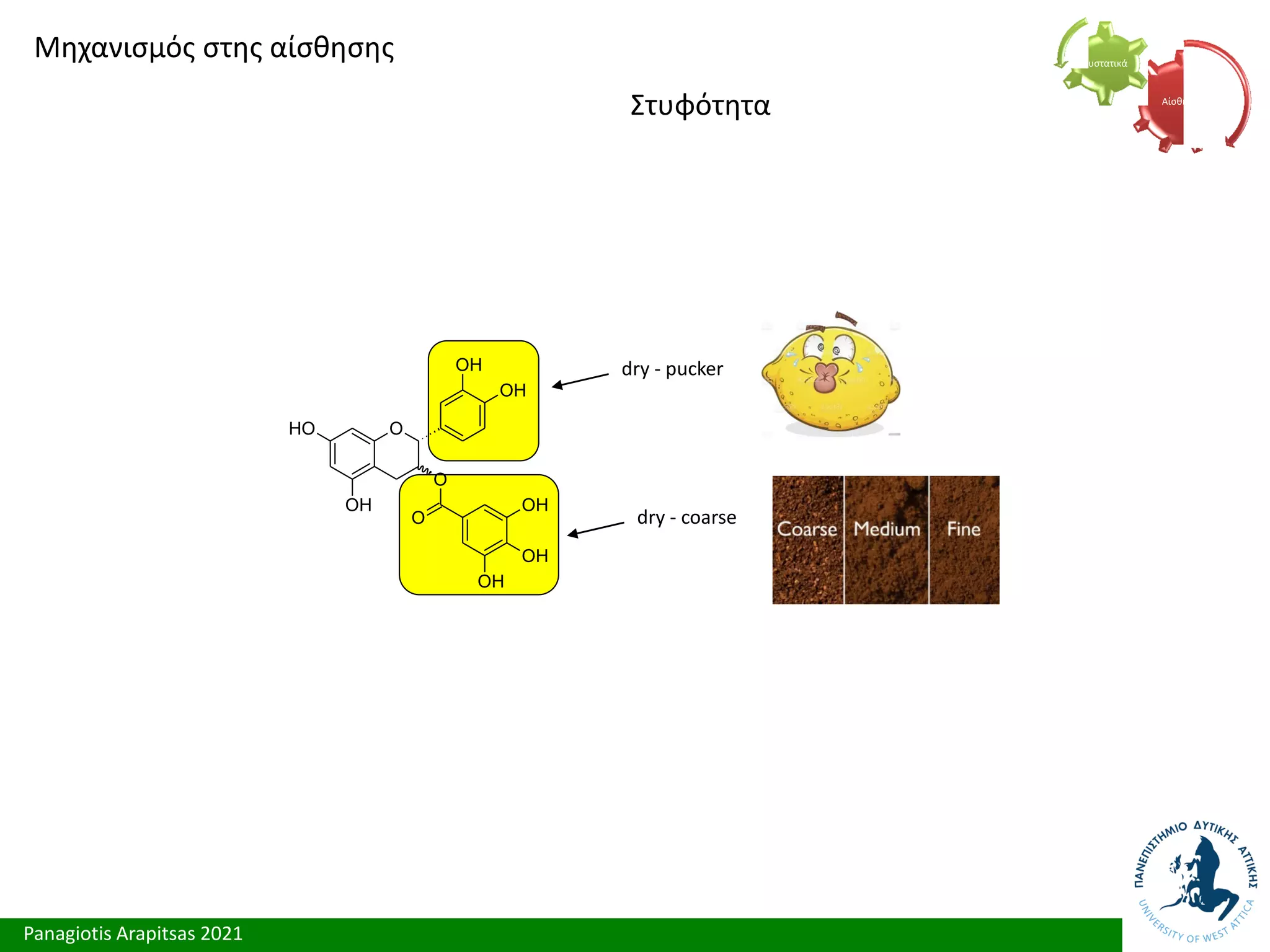 Panagiotis Arapitsas 2021
Μηχανισμός στης αίσθησης
Στυφότητα Αίσθηση
Συστατικά
O
O
H
OH
O
OH
O
OH
OH
OH
OH dry - pucker
dry - coarse
 
