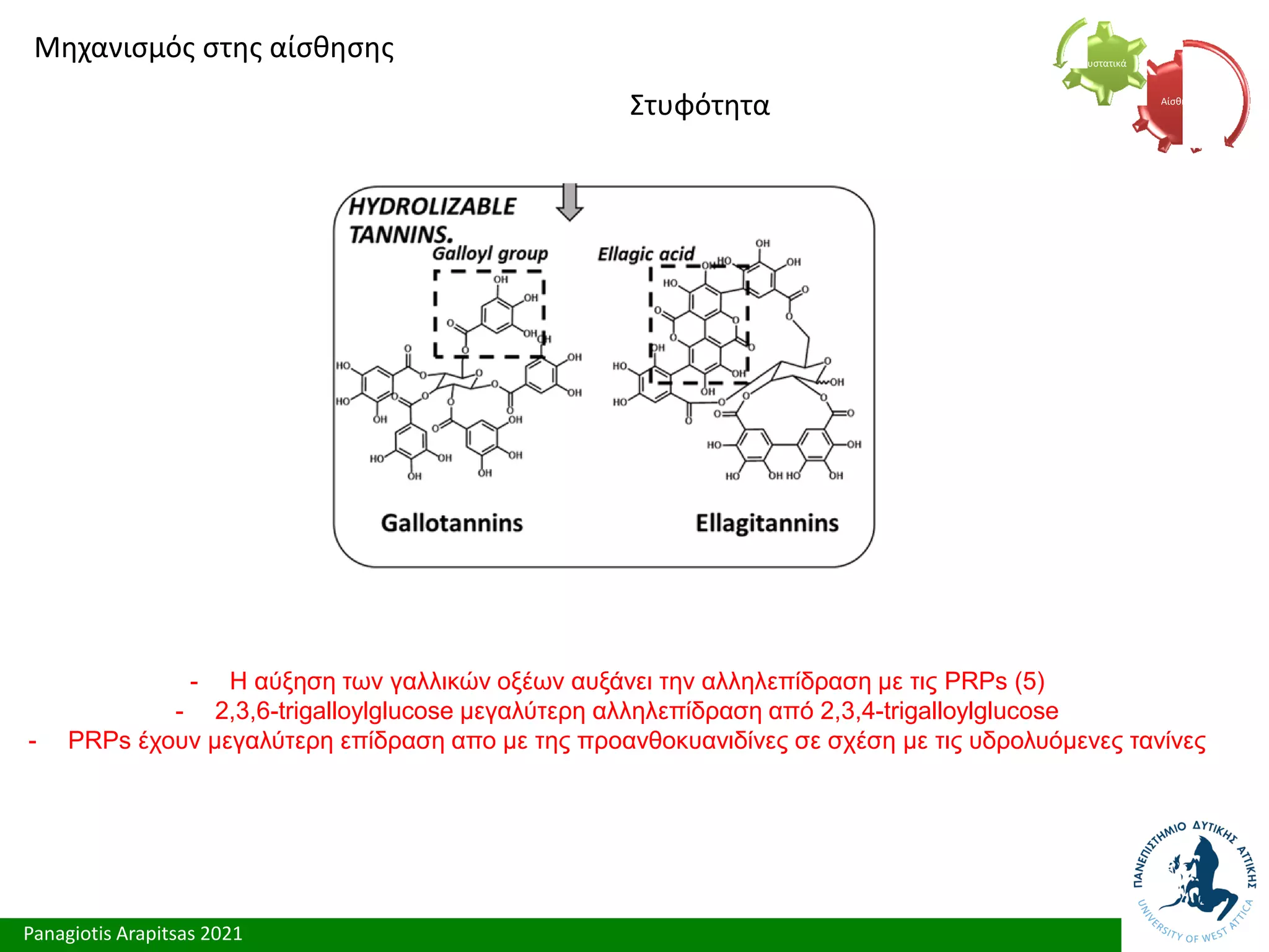 Panagiotis Arapitsas 2021
Μηχανισμός στης αίσθησης
Στυφότητα Αίσθηση
Συστατικά
- Η αύξηση των γαλλικών οξέων αυξάνει την αλληλεπίδραση με τις PRPs (5)
- 2,3,6-trigalloylglucose μεγαλύτερη αλληλεπίδραση από 2,3,4-trigalloylglucose
- PRPs έχουν μεγαλύτερη επίδραση απο με της προανθοκυανιδίνες σε σχέση με τις υδρολυόμενες τανίνες
 