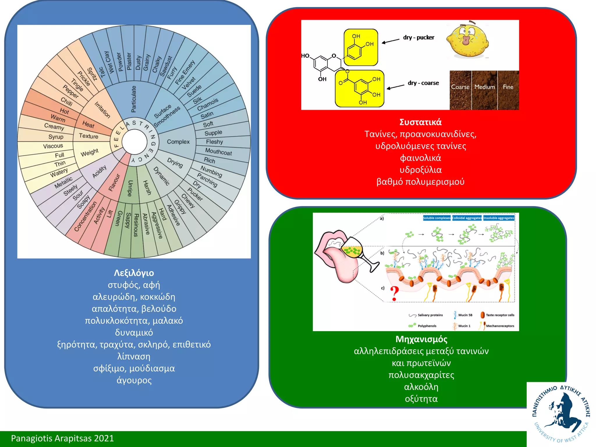 Panagiotis Arapitsas 2021
Λεξιλόγιο
στυφός, αφή
αλευρώδη, κοκκώδη
απαλότητα, βελούδο
πολυκλοκότητα, μαλακό
δυναμικό
ξηρότητα, τραχύτα, σκληρό, επιθετικό
λίπναση
σφίξιμο, μούδιασμα
άγουρος
Συστατικά
Τανίνες, προανοκυανιδίνες,
υδρολυόμενες τανίνες
φαινολικά
υδροξύλια
βαθμό πολυμερισμού
Μηχανισμός
αλληλεπιδράσεις μεταξύ τανινών
και πρωτεϊνών
πολυσακχαρίτες
αλκοόλη
οξύτητα
 