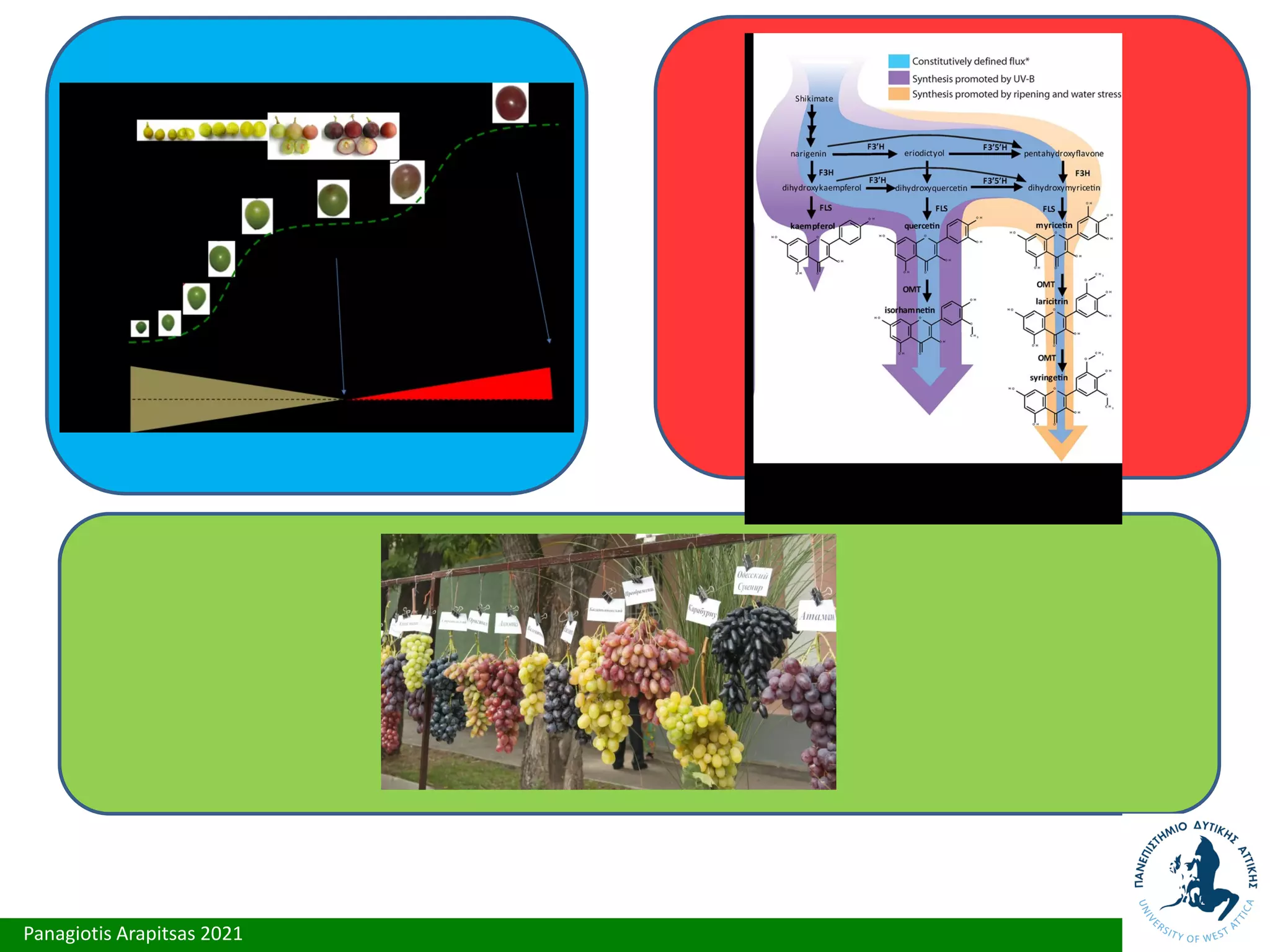 Panagiotis Arapitsas 2021
 