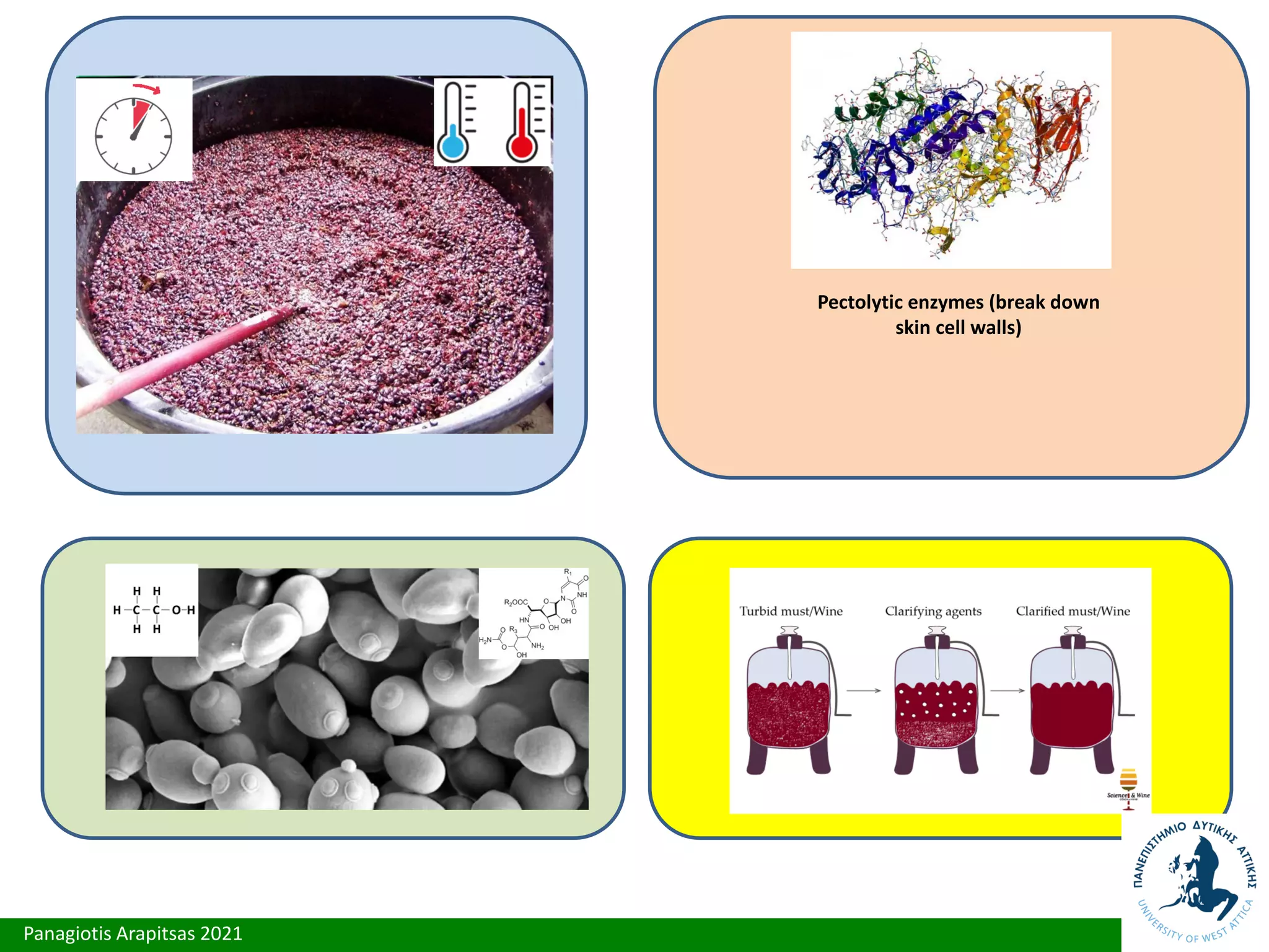 Panagiotis Arapitsas 2021
Pectolytic enzymes (break down
skin cell walls)
 
