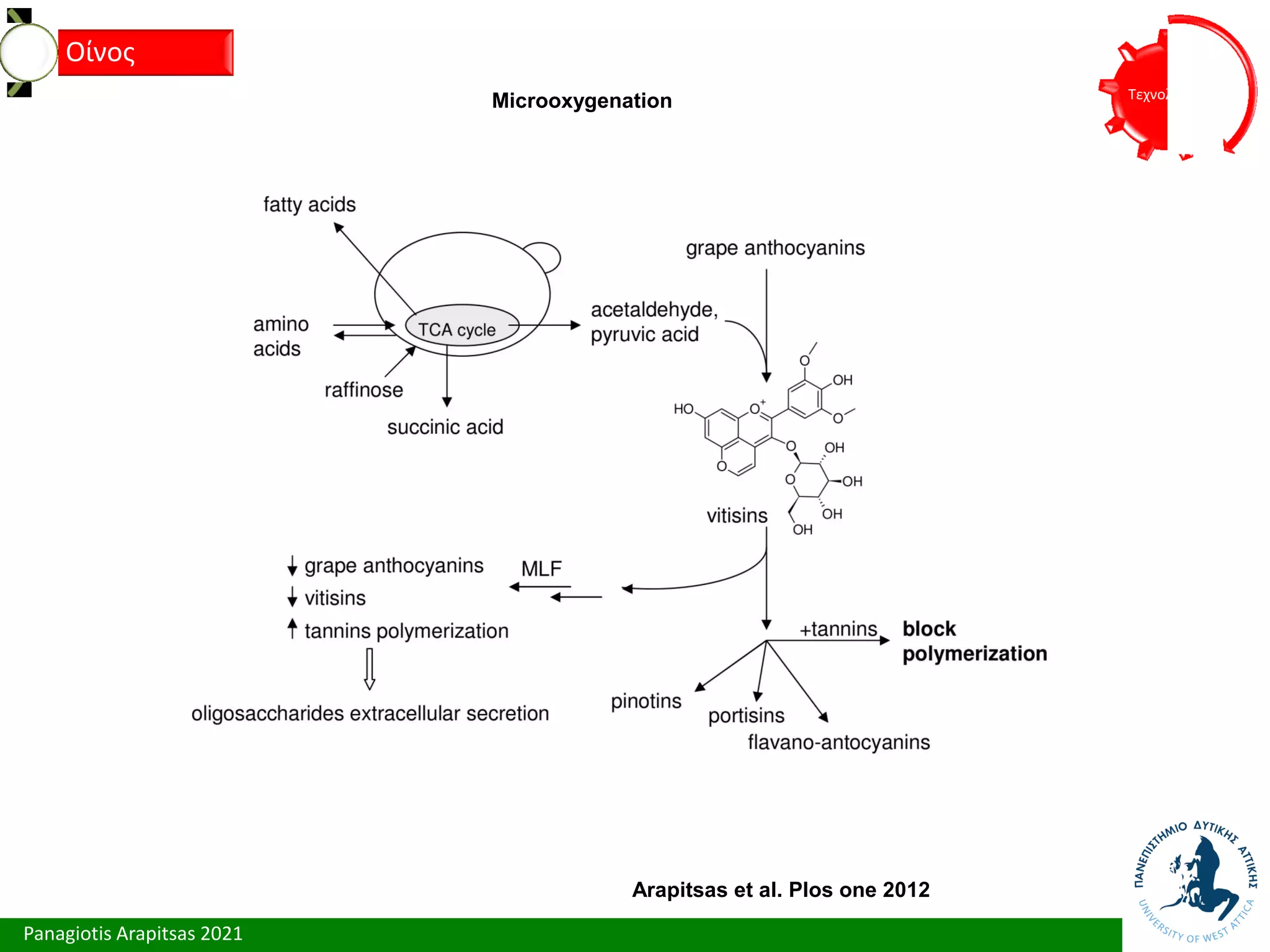 Panagiotis Arapitsas 2021
Τεχνολόγια
Οίνος
Arapitsas et al. Plos one 2012
Microoxygenation
 