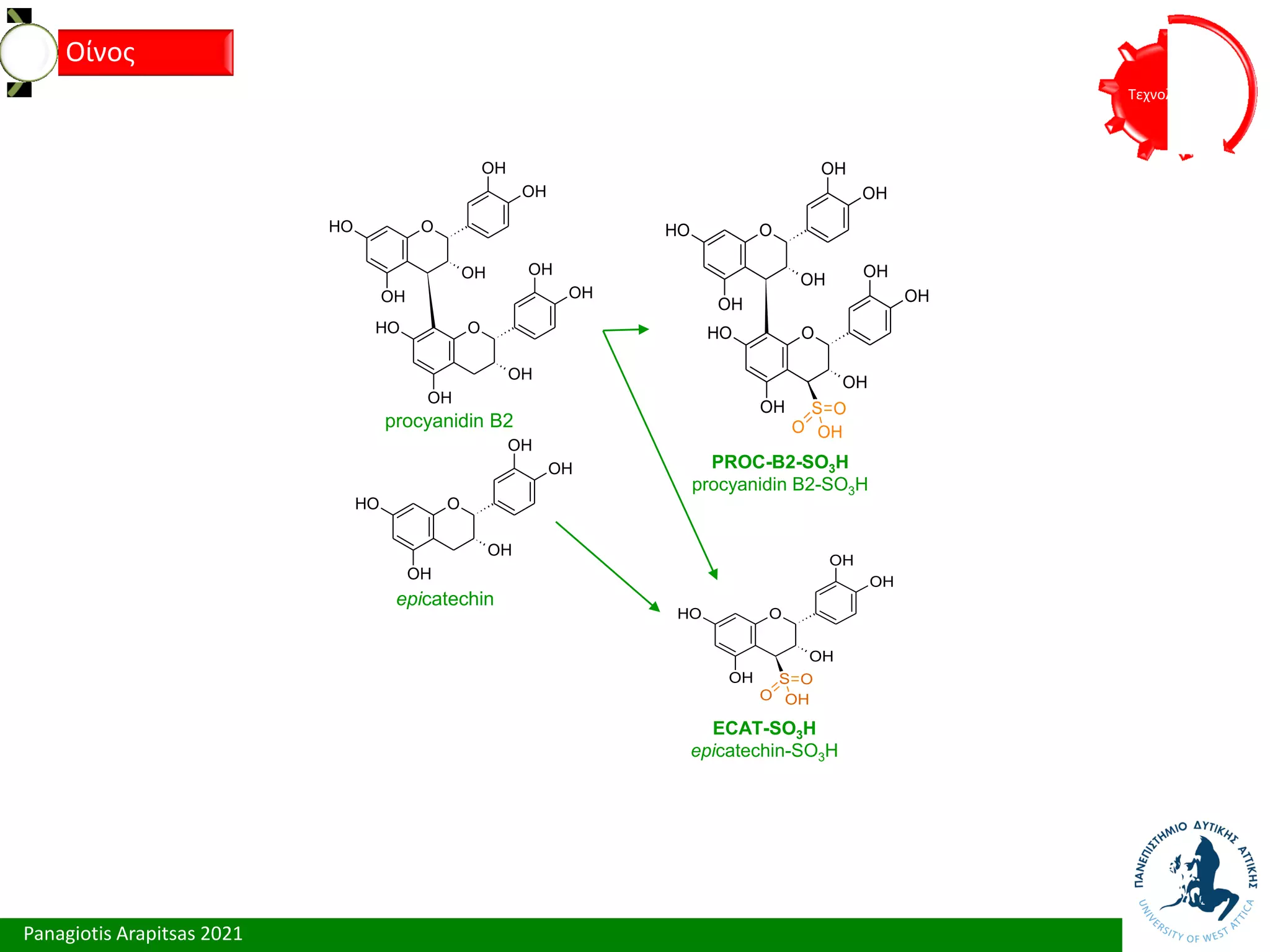 Panagiotis Arapitsas 2021
Τεχνολόγια
Οίνος
O
OH
OH
OH
OH
O
H
O
OH
OH
OH
OH
O
H
O
OH
OH
OH
OH
O
H
epicatechin
procyanidin B2
ECAT-SO3H
epicatechin-SO3H
PROC-B2-SO3H
procyanidin B2-SO3H
O
OH
OH
OH
OH
O
H
S
O
O
OH
O
OH
OH
OH
OH
O
H
O
OH
OH
OH
OH
O
H
S
O
O
OH
 