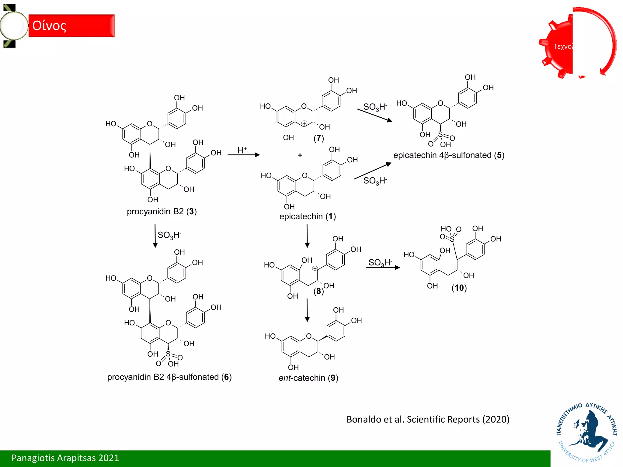 Panagiotis Arapitsas 2021
Τεχνολόγια
Οίνος
Bonaldo et al. Scientific Reports (2020)
O
OH
OH
OH
O
H
OH
O
OH
OH
OH
O
H
OH
O
OH
OH
OH
O
H
OH
O
OH
OH
OH
O
H
OH S
O
O
OH
O
OH
OH
OH
O
H
OH
O
OH
OH
OH
O
H
OH S
O
O
OH
OH
OH
OH
OH
O
H
OH
OH
OH
OH
OH
O
H
OH
S
O
O
O
H
O
OH
OH
OH
O
H
OH
O
OH
OH
OH
O
H
OH
procyanidin B2 (3)
epicatechin (1)
epicatechin 4β-sulfonated (5)
procyanidin B2 4β-sulfonated (6) ent-catechin (9)
SO3H-
+
+
H+
SO3H-
SO3H-
(7)
(8) (10)
+
SO3H-
 
