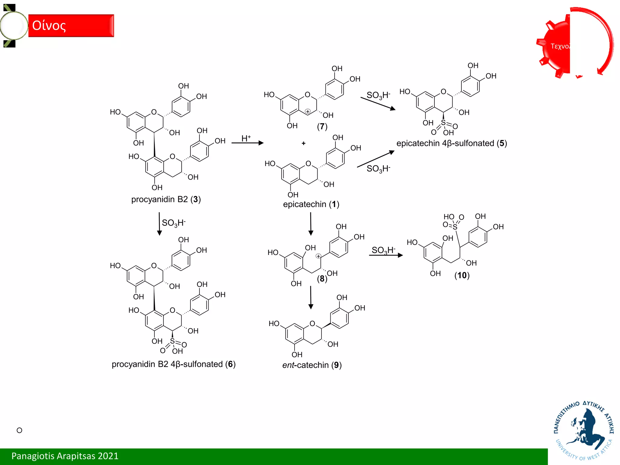 Panagiotis Arapitsas 2021
Τεχνολόγια
Οίνος
O
OH
OH
OH
O
H
OH
O
OH
OH
OH
O
H
OH
O
OH
OH
OH
O
H
OH
O
OH
OH
OH
O
H
OH S
O
O
OH
O
OH
OH
OH
O
H
OH
O
OH
OH
OH
O
H
OH S
O
O
OH
OH
OH
OH
OH
O
H
OH
OH
OH
OH
OH
O
H
OH
S
O
O
O
H
O
OH
OH
OH
O
H
OH
O
OH
OH
OH
O
H
OH
procyanidin B2 (3)
epicatechin (1)
epicatechin 4β-sulfonated (5)
procyanidin B2 4β-sulfonated (6) ent-catechin (9)
SO3H-
+
+
H+
SO3H-
SO3H-
(7)
(8) (10)
+
SO3H-
 