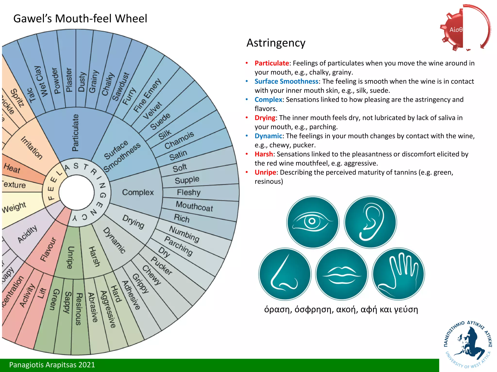 Panagiotis Arapitsas 2021
Gawel’s Mouth-feel Wheel
Astringency
• Particulate: Feelings of particulates when you move the wine around in
your mouth, e.g., chalky, grainy.
• Surface Smoothness: The feeling is smooth when the wine is in contact
with your inner mouth skin, e.g., silk, suede.
• Complex: Sensations linked to how pleasing are the astringency and
flavors.
• Drying: The inner mouth feels dry, not lubricated by lack of saliva in
your mouth, e.g., parching.
• Dynamic: The feelings in your mouth changes by contact with the wine,
e.g., chewy, pucker.
• Harsh: Sensations linked to the pleasantness or discomfort elicited by
the red wine mouthfeel, e.g. aggressive.
• Unripe: Describing the perceived maturity of tannins (e.g. green,
resinous)
όραση, όσφρηση, ακοή, αφή και γεύση
Αίσθηση
 