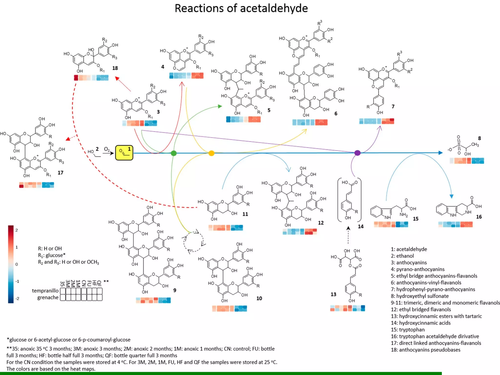 Panagiotis Arapitsas 2021
Τεχνολόγια
Οίνος
 