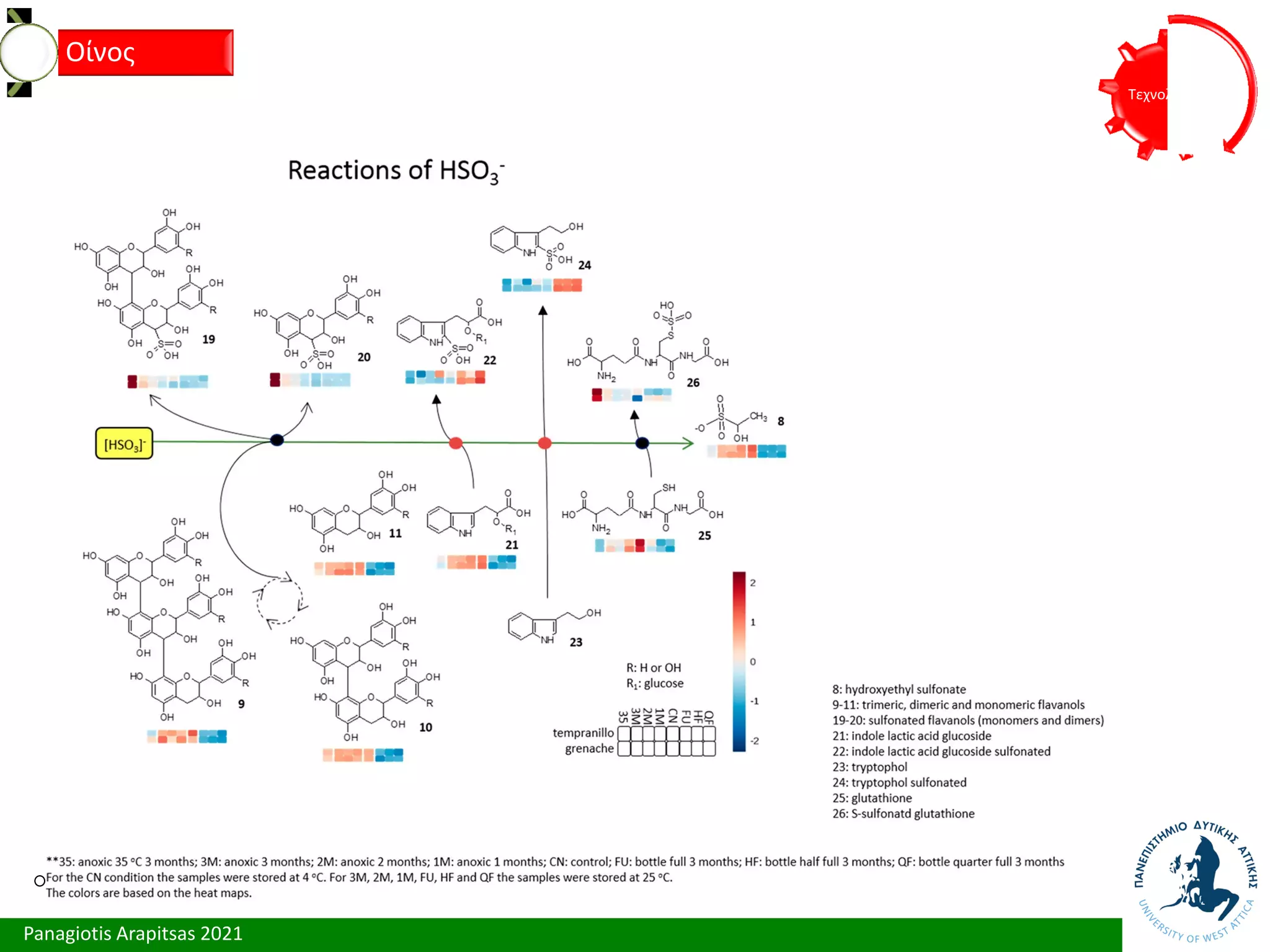 Panagiotis Arapitsas 2021
Τεχνολόγια
Οίνος
 