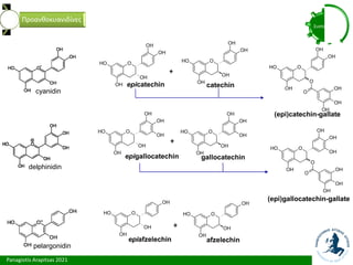 Panagiotis Arapitsas 2021
Συστατικά
Προανθοκυανιδίνες
cyanidin
delphinidin
pelargonidin
O
O
H
OH
OH
OH
OH
O
O
H
OH
OH
OH
OH
O
O
H
OH
OH
OH
OH
OH
O
O
H
OH
OH
OH
OH
OH
O
O
H
OH
OH
OH
O
O
H
OH
OH
OH
+
+
+
epicatechin catechin
epigallocatechin gallocatechin
epiafzelechin afzelechin
O
O
H
OH
O
OH
O
OH
OH
OH
OH
O
O
H
OH
O
OH
O
OH
OH
OH
OH
OH
(epi)catechin-gallate
(epi)gallocatechin-gallate
 