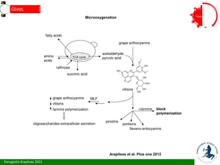 Panagiotis Arapitsas 2021
Τεχνολόγια
Οίνος
Arapitsas et al. Plos one 2012
Microoxygenation
 