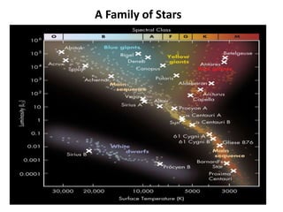 A Family of Stars
 