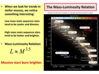 The Mass-Luminosity Relation• When we look for trends in
stellar masses, we notice
something interesting:
Low mass main sequence stars
tend to be cooler and dimmer.
High mass main sequence stars
tend to be hotter and brighter.
• Mass-Luminosity Relation:
Massive stars burn brighter.
5.3
ML 
 